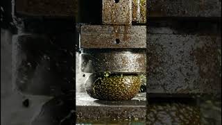 avocado vs hydraulic Press machine