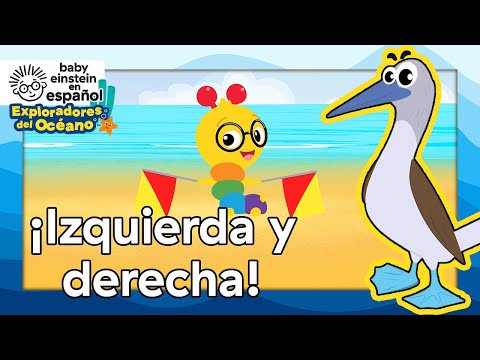 ¡Izquierda y derecha con piqueros patas azules! | Exploradores Del Océano | T2 Episodio 9