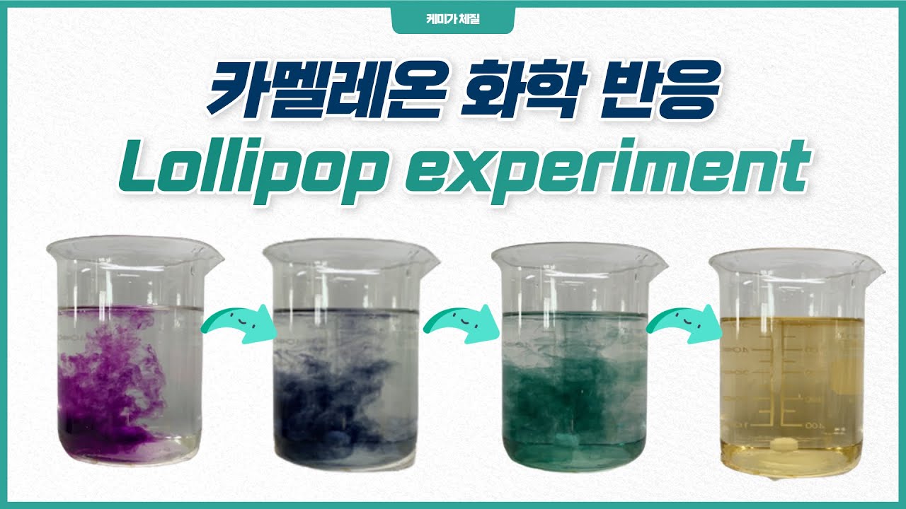 [하.또.실] Lollipop experiment🍭(롤리팝 반응), Cameleon Chemical Reaction(카멜레온 수