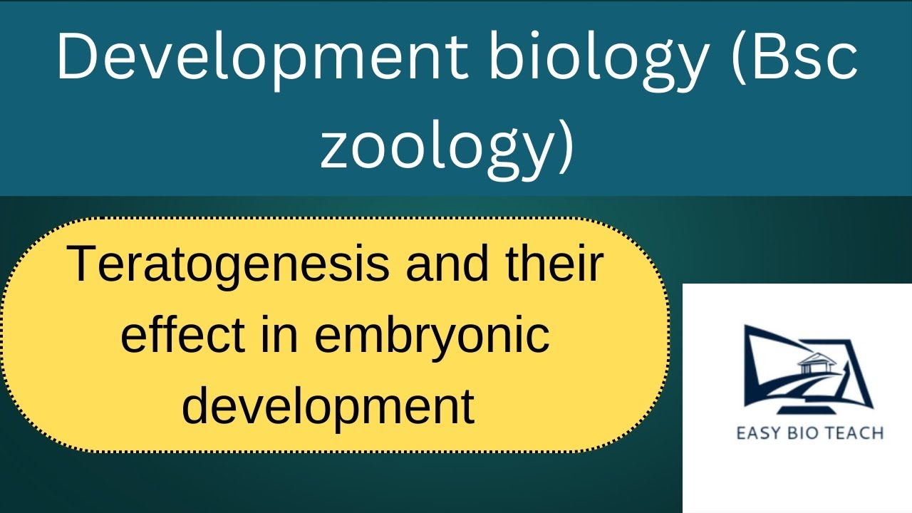 Teratogenesis and their effect in embryonic development 