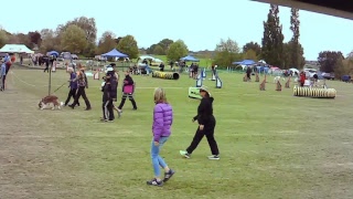2017 NZDAC Live Stream Saturday 21st October