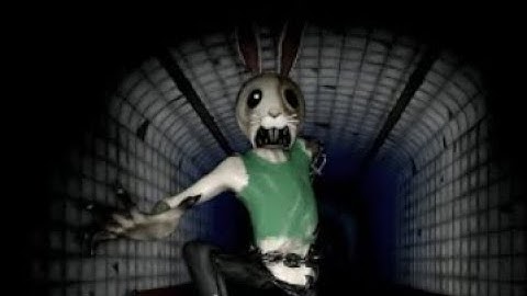 Bonnet Chases (Piggy : Decay)