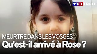 Fillette tuée dans les Vosges : l'autopsie permet d'exclure un viol