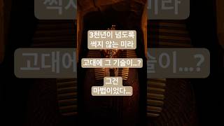 고대 이집트의 미라 제조법의 충격적인 비밀 #미라 #이집트 #고대문명 #역사미스터리 #투탕카멘 #고고학 #MysteryChannel