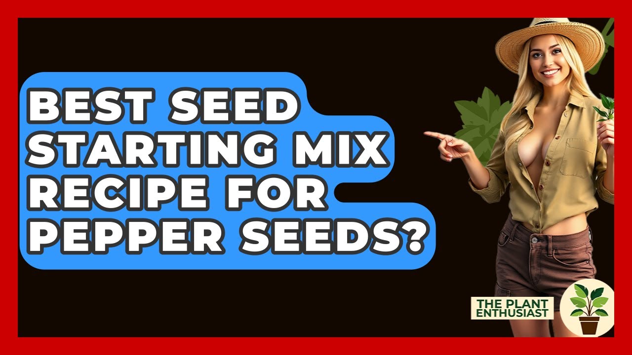 Best Seed Starting Mix Recipe For Pepper Seeds? - The Plant Enthusiast