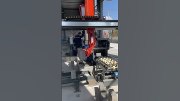 Dafon Automatic Loader and Unloader for Slabs and Kerbs