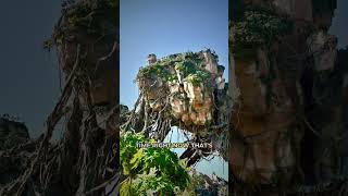 Disney World Morning Briefing: Flight of Passage LL Still Open #Shorts
