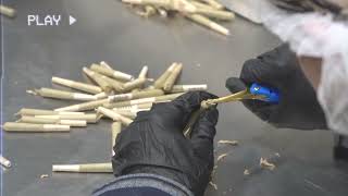 HOW IT'S MADE - ILLICIT SMOKOS