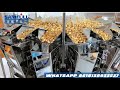 continuous motion popcorn packing machine, high speed equipment, for popcorn and puffed snacks.