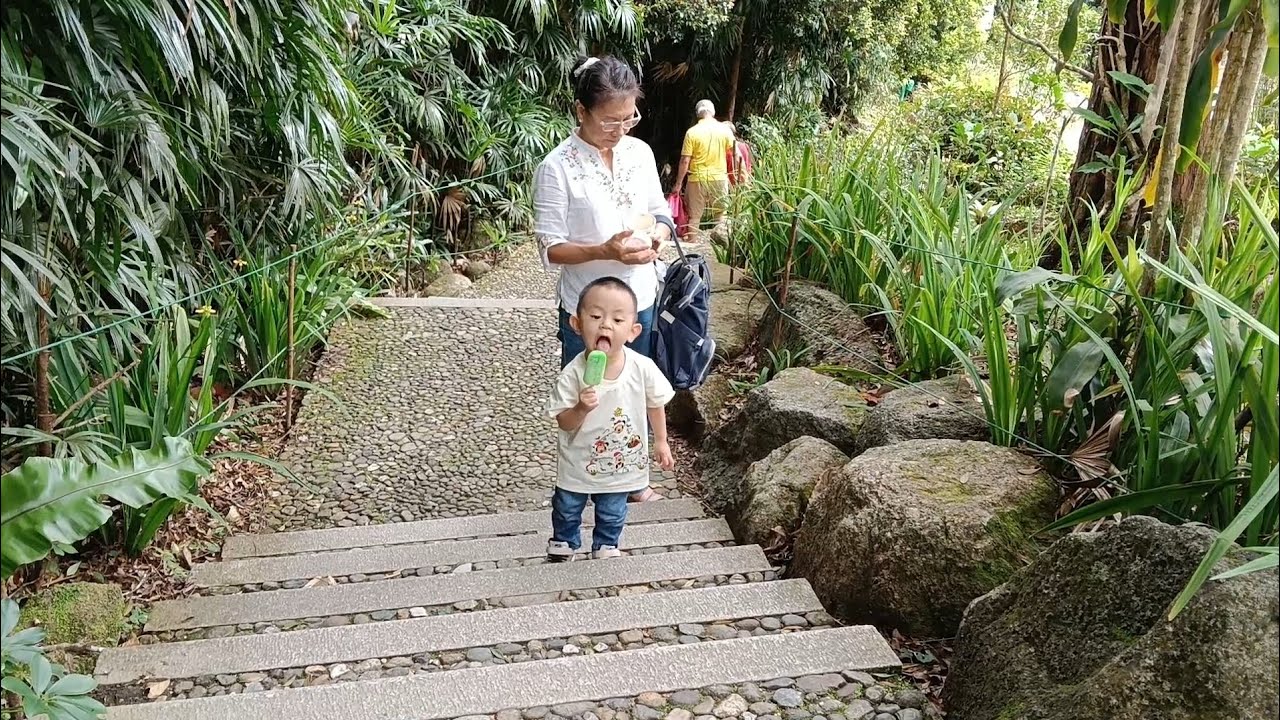 🇲🇾🚘 Bukit Tinggi 一日游｜法国村・日本村・桃源谷餐厅・The Qiu Dining・森芭梯田