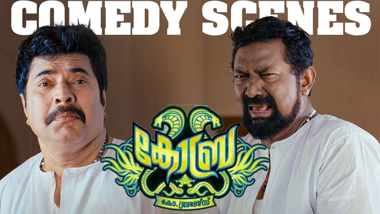 Cobra Malayalam Movie | Comedy Scenes - 01 | Mammootty | Lal | Lalu Alex | Padmapriya | Salim Kumar
