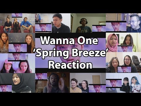 Wanna One (워너원) - 'Spring Breeze ’ M/V "Reaction Mashup"