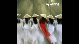 เพลง เวียตนาม กุหลาบแดง 999 DOA Hong