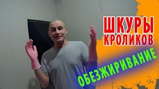 ОБЕЗЖИРИВАНИЕ ШКУРЫ КРОЛИКА / #сельхозвблог / как стать фермером / ЛПХ / КФХ