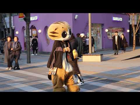 JHKTV] 신촌 명물고양이 잘생기셨네 shin chon special <strong>cat</strong> You <strong>are</strong> handsome