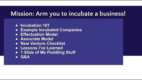 Business Incubation Process Explained - HoldCo Lecture Series Ep. 1