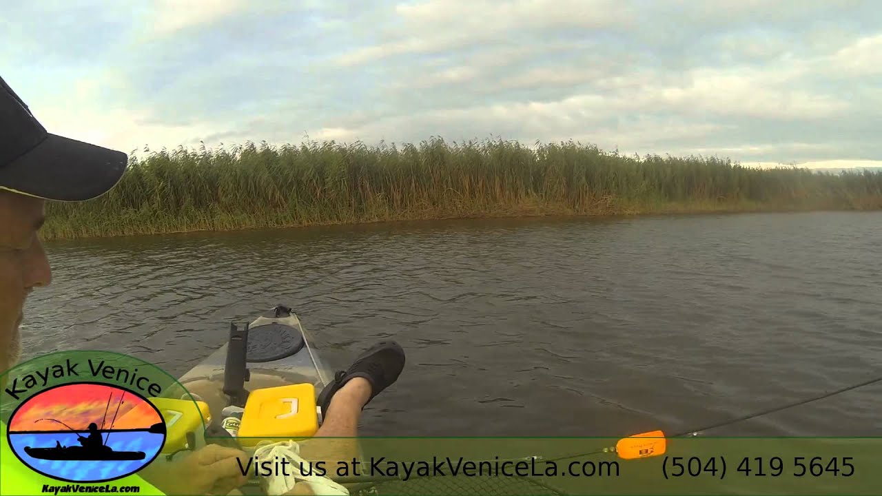 Kayak Fishing in venice october evening YouTube