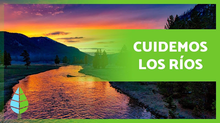 Cómo EVITAR la CONTAMINACIÓN de los RÍOS 🏞️⚠️ (9 Consejos)