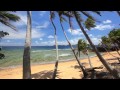 "Perfect Palms" Hidden Island in Fiji Endless Nature Video w/ Stereo Sounds 1080p