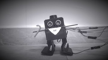 Exceed Robotics Term 12 Project - courtesy of WILD IBIM productions