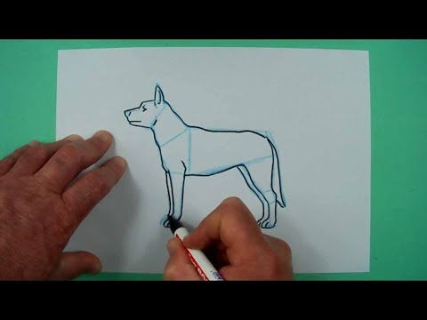 Video: Wie Man Einen Hund Schritt Für Schritt Mit Einem Bleistift Zeichnet