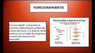 TODO SOBRE VISUAL BASIC (Ciclo Repeat)