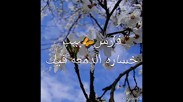 فارس حبيب خسارة الدمعه فيك 