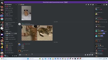 How to Change Fonts in Discord
