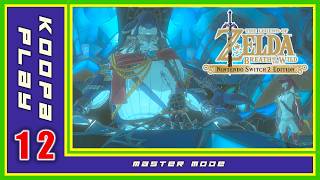 IL VILLAGGIO DEGLI ZORA E L'ARMATURA DI MIPHA! 🧜♂️💧 | Zelda BOTW (Master Mode) Parte 12