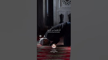سورة النساء | الشيخ ياسر الدوسري