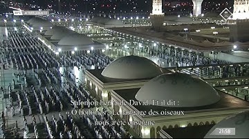 مختارات رمضان | تلاوة مميَّزة مُختارة لك من ليالي التراويح للشيخ د. عبدالمحسن القاسم