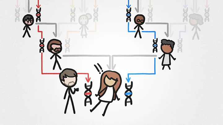 The Ancestor Paradox thumbnail