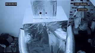 Bay Robotor Trai̇ler