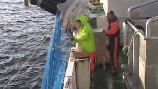 Danish Seine