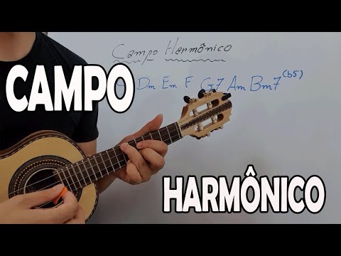 CAMPO HARMÔNICO -