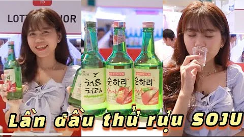 Top 10 rượu soju trái cây bao nhiêu độ