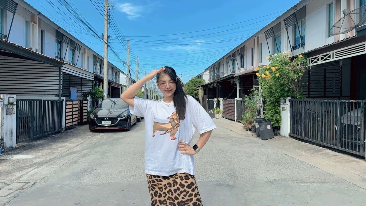 Night Live Thai Street Food-Save One Go Market Lady Oil Noodle