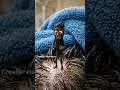 Day 2/100 Days Challenge  ✅ Support Me Plz•||• Creator Haroon  •||•
