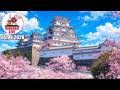 🔴Live aus Japan - Einbürgerung & Japan Talk