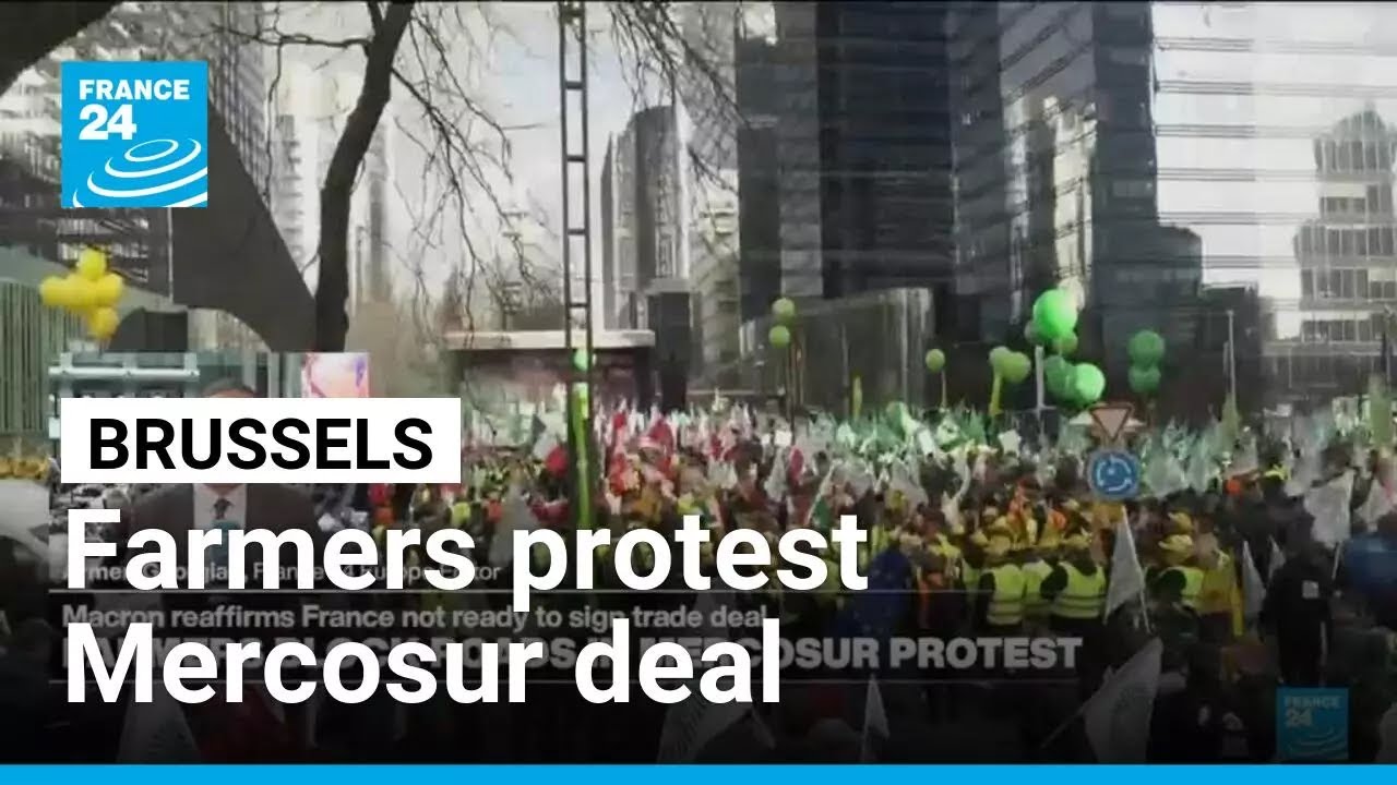 Farmers protest Mercosur deal in Brussels • FRANCE 24 English