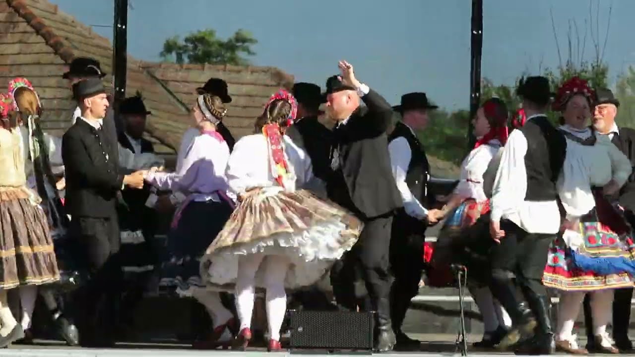 Sárközi Lakodalom 2025 7#. Sárpilis - Leányvásár