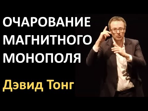 Дэвид Тонг: Очарование магнитного монополя