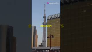 Top 3 Must-Visit Places On