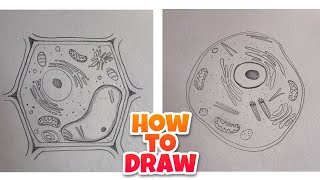 how to Draw Plant and Animal Cell Diagram, Drawing Plant cell/Animal cell Diagrams