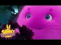 SUNNY BUNNIES - The Bunnies Meet Fireflies | Season 1 | Cartoons for Children