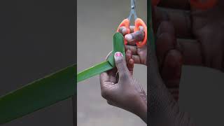 Coconut Leaf Tricks