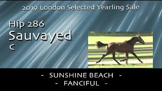 H286 Sauvayed - LSYS