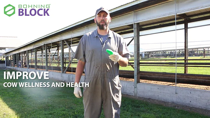 Improve Cow Health Effectively & Efficiently with ...