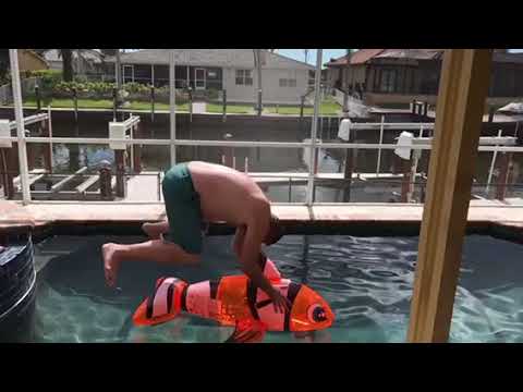 Finding Nemo, Florida Style.