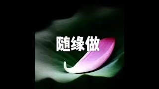 201508 随缘做25126
